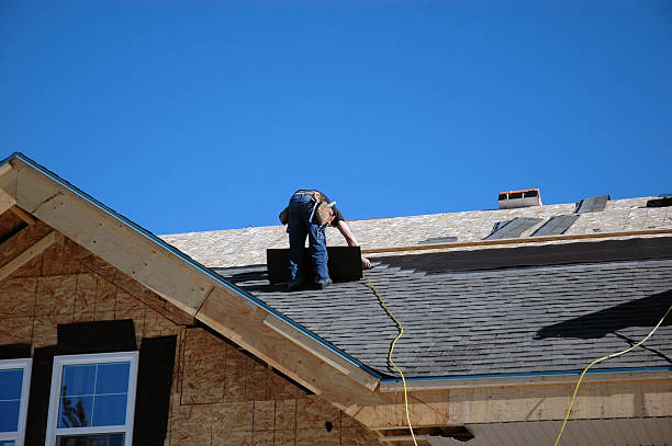 Roof Gutter Cleaning in Mount Vernon, MO