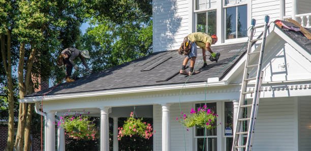 Best Metal Roofing Contractor  in Unt Vernon, MO